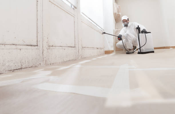 24/7 Emergency Mold Remediation experts in Bluefield, VA