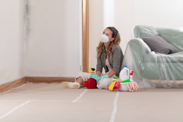 Reliable Mold Remediation contractor in Bluefield, VA by 24 Hour Mold Removal